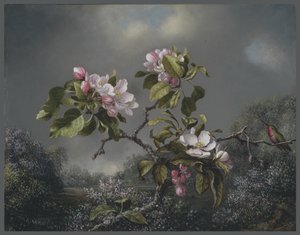 Appelbloesems en kolibrie, 1871 door Martin Johnson Heade