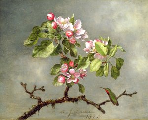 Appelbloesems en een kolibrie door Martin Johnson Heade