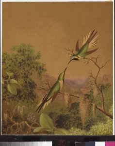 Braziliaanse kolibries IV door Martin Johnson Heade