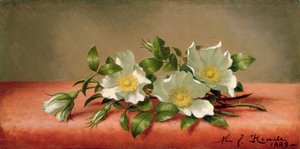 Cherokee Rozen, 1889 door Martin Johnson Heade