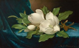  door Martin Johnson Heade
