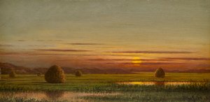 Moerasland door Martin Johnson Heade