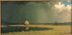 Zoutmoerashooi, ca.1865 (olieverf op doek) door Martin Johnson Heade