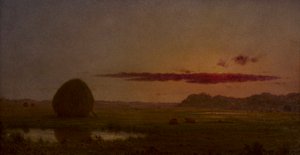  door Martin Johnson Heade