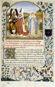 Het rad van fortuin - door Martin Le Franc