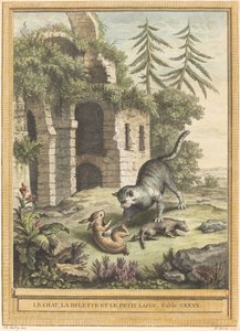 De kat, de wezel en het konijn