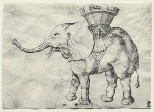 Een Olifant met Howdah door Martin Schongauer
