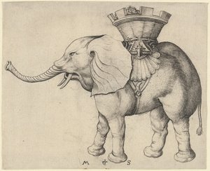 Olifant door Martin Schongauer