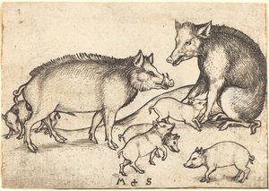 Familie van varkens