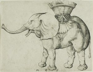 De olifant door Martin Schongauer