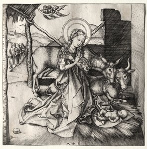 Het Leven van Christus: De Geboorte