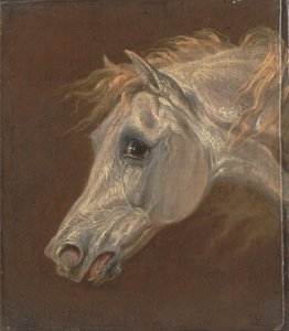 Hoofd van een grijze Arabische hengst door Martin Theodore Ward