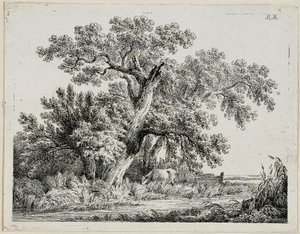 Landschap