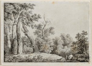 Landschap door Martin von Molitor