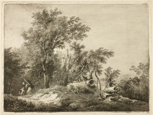De omgevallen boomstam door Martin von Molitor