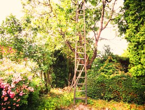 Aan de Kersenboom door Martina Konitzky