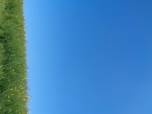 Blauw