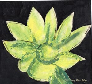 Cactus