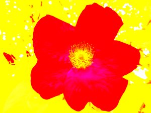 Popart Hommage aan Andy Warhol