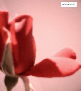 Rozenbloesemblad hart door Martina Konitzky