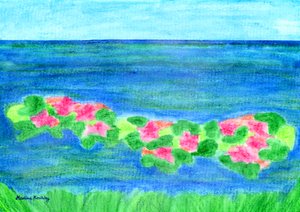 Waterlelies door Martina Konitzky