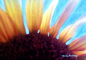 Zonnebloem en zomerhemel door Martina Konitzky