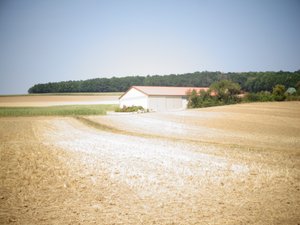 Zomer door Martina Konitzky