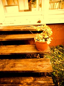 Verandatrap door Martina Konitzky