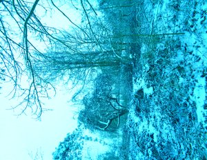 Winter Blauw door Martina Konitzky