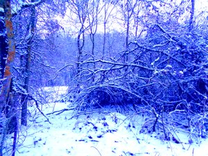 Winter Blauw