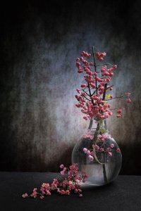  door Martine Benezech