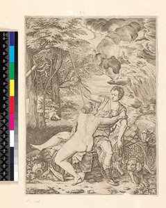 Venus en Adonis, ca. 1560-ca. 1580 door Martino Rota