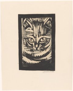 Portret van een kat