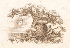 Illustratie voor "Halvhundrede Fabler voor Kinderen" van Hey door Martinus Rørbye