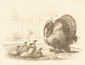 Illustratie voor "Halvhundrede Fabler for Børn" van Hey