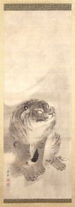 Tijger