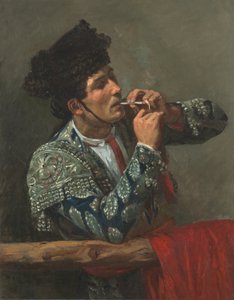 Na de stierengevecht