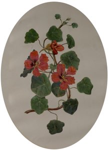 Oost-Indische kers, c.1870 door Mary Dakeyne Townroe