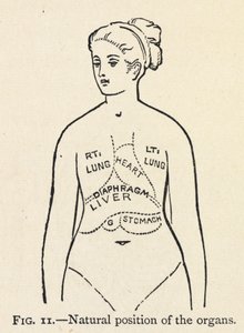Natuurlijke positie van de organen door Mary Eliza Haweis