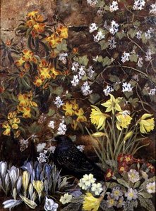 Lentebloemen