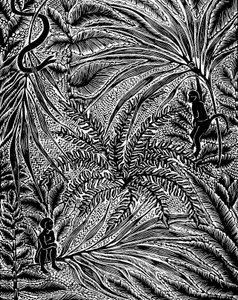 Jungle door Mary Kuper