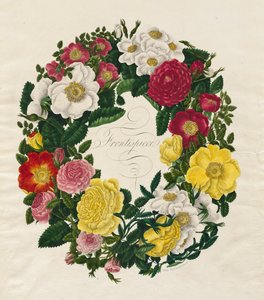 Een krans van rozen door Mary Lawrence