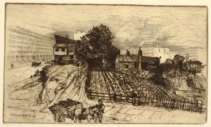 Een Stadsboerderij, New York