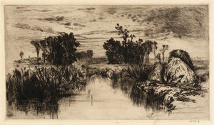 Kattestaarten en bomen door Mary Nimmo Moran