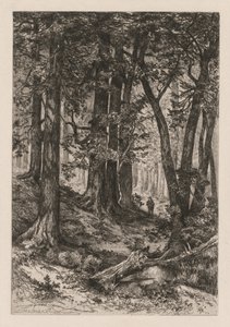 Interieur van een Californisch bos na Thomas Moran Amerikaans, 1837-1926, 1888 door Mary Nimmo Moran