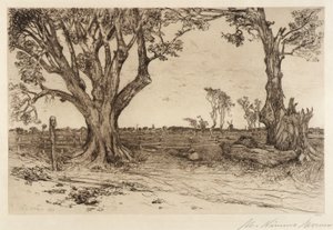 Oude linden - Nabij Easthampton door Mary Nimmo Moran