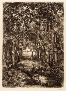 De zee door het bos door Mary Nimmo Moran