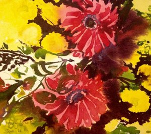 Gerbera