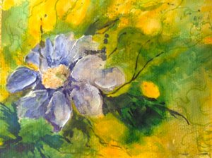 Clematis in de avondzon