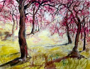 magenta bloesems door Mary Smith